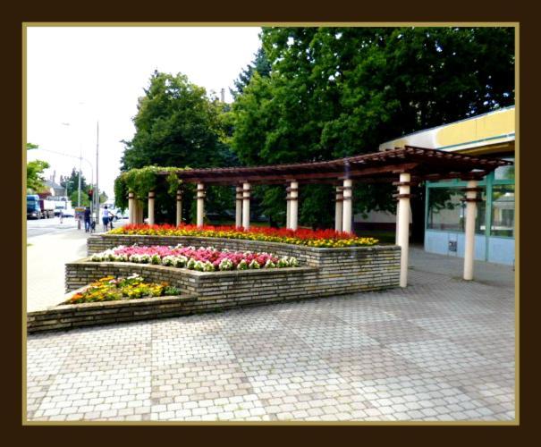 Matilda Apartman Apartment Hajdúszoboszló Cameră foto